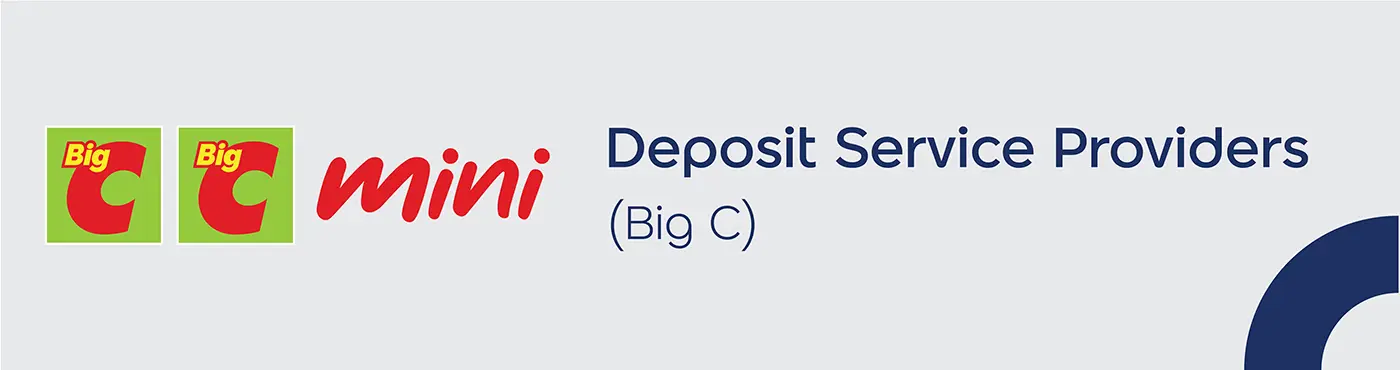 Deposit Service Providers (Big C)